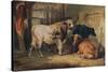 A Bull and three Cows in a Stable, c1856-Thomas Sidney Cooper-Stretched Canvas