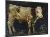 A Bull Calf, 1876-Christian Eriksen Skredsvig-Mounted Giclee Print