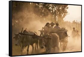 A bull cart kicks up a cloud of dust on the road to Indawgyi Lake, Kachin State, Myanmar (Burma), A-Alex Treadway-Framed Stretched Canvas