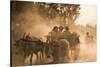 A bull cart kicks up a cloud of dust on the road to Indawgyi Lake, Kachin State, Myanmar (Burma), A-Alex Treadway-Stretched Canvas