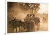 A bull cart kicks up a cloud of dust on the road to Indawgyi Lake, Kachin State, Myanmar (Burma), A-Alex Treadway-Framed Photographic Print