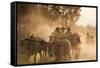 A bull cart kicks up a cloud of dust on the road to Indawgyi Lake, Kachin State, Myanmar (Burma), A-Alex Treadway-Framed Stretched Canvas