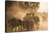 A bull cart kicks up a cloud of dust on the road to Indawgyi Lake, Kachin State, Myanmar (Burma), A-Alex Treadway-Stretched Canvas