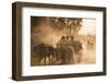 A bull cart kicks up a cloud of dust on the road to Indawgyi Lake, Kachin State, Myanmar (Burma), A-Alex Treadway-Framed Photographic Print