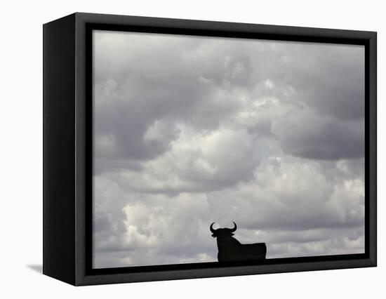 A Bull, Ciudad Real, Spain-null-Framed Stretched Canvas
