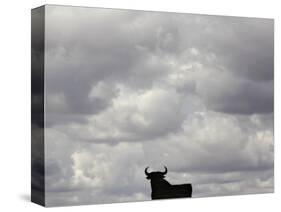 A Bull, Ciudad Real, Spain-null-Stretched Canvas
