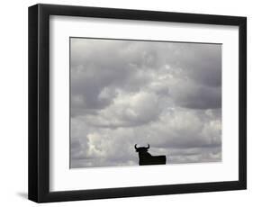 A Bull, Ciudad Real, Spain-null-Framed Photographic Print