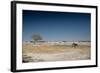 A Bull Elephant Drinks from a Watering Hole-Alex Saberi-Framed Photographic Print