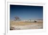 A Bull Elephant Drinks from a Watering Hole-Alex Saberi-Framed Photographic Print