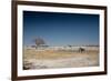 A Bull Elephant Drinks from a Watering Hole-Alex Saberi-Framed Photographic Print