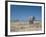 A Bull Elephant, Loxodonta Africana, Stares at the Camera in Etosha National Park-Alex Saberi-Framed Photographic Print