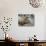 A Bull Elk Grazes in the Rocky Mountains in Jasper NP, Canada-Richard Wright-Photographic Print displayed on a wall