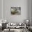 A Bull Elk Grazes in the Rocky Mountains in Jasper NP, Canada-Richard Wright-Photographic Print displayed on a wall