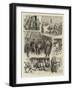 A Bull in a China Ship-null-Framed Giclee Print