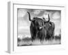 A Bull-Ata Alishahi-Framed Giclee Print