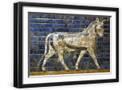 Black Frame