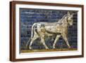 Brown Frame