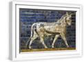 White Frame