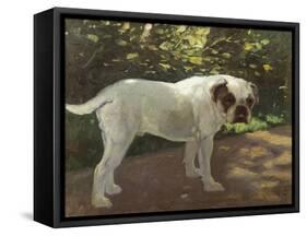 A Bulldog on a Garden Path-Cecil Aldin-Framed Stretched Canvas