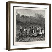 A Bullock Carriage in Cochin-China-null-Framed Giclee Print