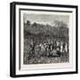 A Bullock Carriage in Cochin-China-null-Framed Giclee Print