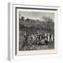 A Bullock Carriage in Cochin-China-null-Framed Giclee Print