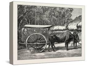 A Bullock Carriage in Cochin-China-null-Stretched Canvas