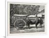 A Bullock Carriage in Cochin-China-null-Framed Giclee Print