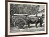 A Bullock Carriage in Cochin-China-null-Framed Giclee Print