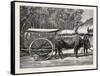 A Bullock Carriage in Cochin-China-null-Framed Stretched Canvas