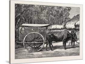 A Bullock Carriage in Cochin-China-null-Stretched Canvas