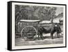 A Bullock Carriage in Cochin-China-null-Framed Stretched Canvas