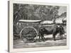 A Bullock Carriage in Cochin-China-null-Stretched Canvas