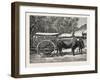 A Bullock Carriage in Cochin-China-null-Framed Giclee Print