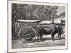 A Bullock Carriage in Cochin-China-null-Mounted Giclee Print