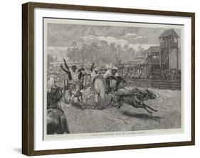 A Bullock Hackery Race at Colombo, Ceylon-null-Framed Giclee Print