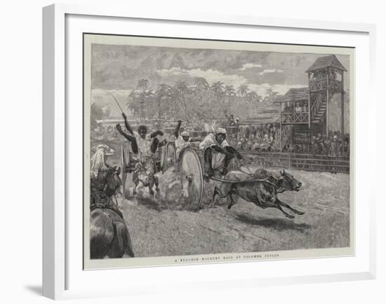 A Bullock Hackery Race at Colombo, Ceylon-null-Framed Giclee Print