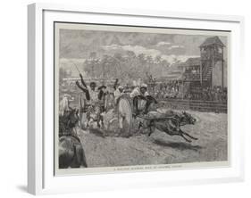 A Bullock Hackery Race at Colombo, Ceylon-null-Framed Giclee Print