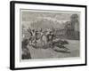 A Bullock Hackery Race at Colombo, Ceylon-null-Framed Giclee Print