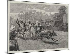 A Bullock Hackery Race at Colombo, Ceylon-null-Mounted Giclee Print