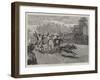 A Bullock Hackery Race at Colombo, Ceylon-null-Framed Giclee Print