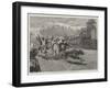 A Bullock Hackery Race at Colombo, Ceylon-null-Framed Giclee Print