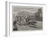 A Bullock Hackery Race at Colombo, Ceylon-null-Framed Giclee Print