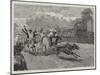 A Bullock Hackery Race at Colombo, Ceylon-null-Mounted Giclee Print