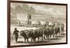 A Bullock Wagon Crossing the Great Plains Between St. Louis and Denver, C.1870, from 'American…-null-Framed Giclee Print