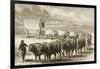 A Bullock Wagon Crossing the Great Plains Between St. Louis and Denver, C.1870, from 'American…-null-Framed Giclee Print