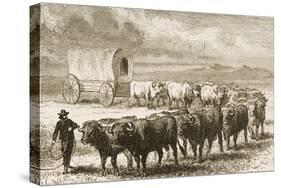 A Bullock Wagon Crossing the Great Plains Between St. Louis and Denver, C.1870, from 'American…-null-Stretched Canvas