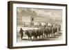 A Bullock Wagon Crossing the Great Plains Between St. Louis and Denver, C.1870, from 'American…-null-Framed Giclee Print