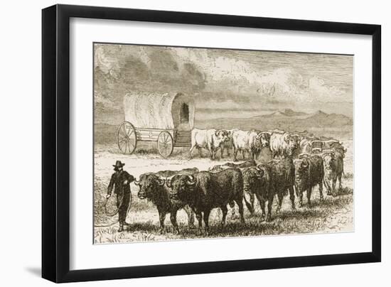 A Bullock Wagon Crossing the Great Plains Between St. Louis and Denver, C.1870, from 'American…-null-Framed Giclee Print