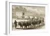 A Bullock Wagon Crossing the Great Plains Between St. Louis and Denver, C.1870, from 'American…-null-Framed Giclee Print